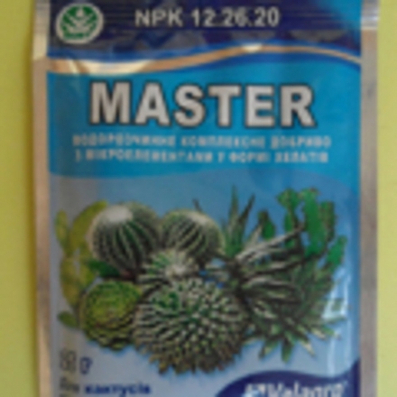 Master 12.26.20, 25гр