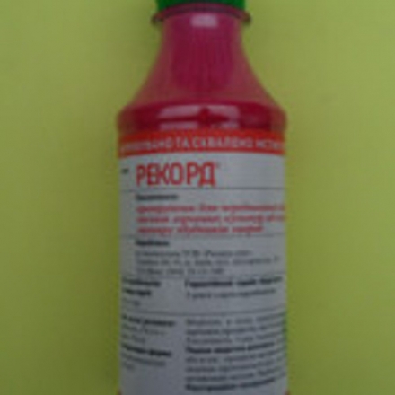 Рекорд