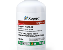 Chorus_100g