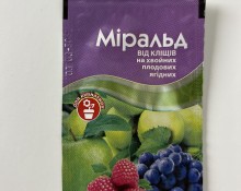 IMG_1994