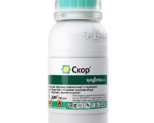 Score_100ml