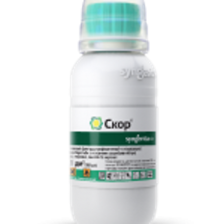 Score_100ml